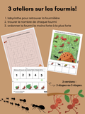 3 Ateliers sur les fourmis
