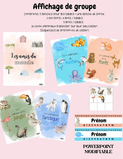 Affichage de groupe
