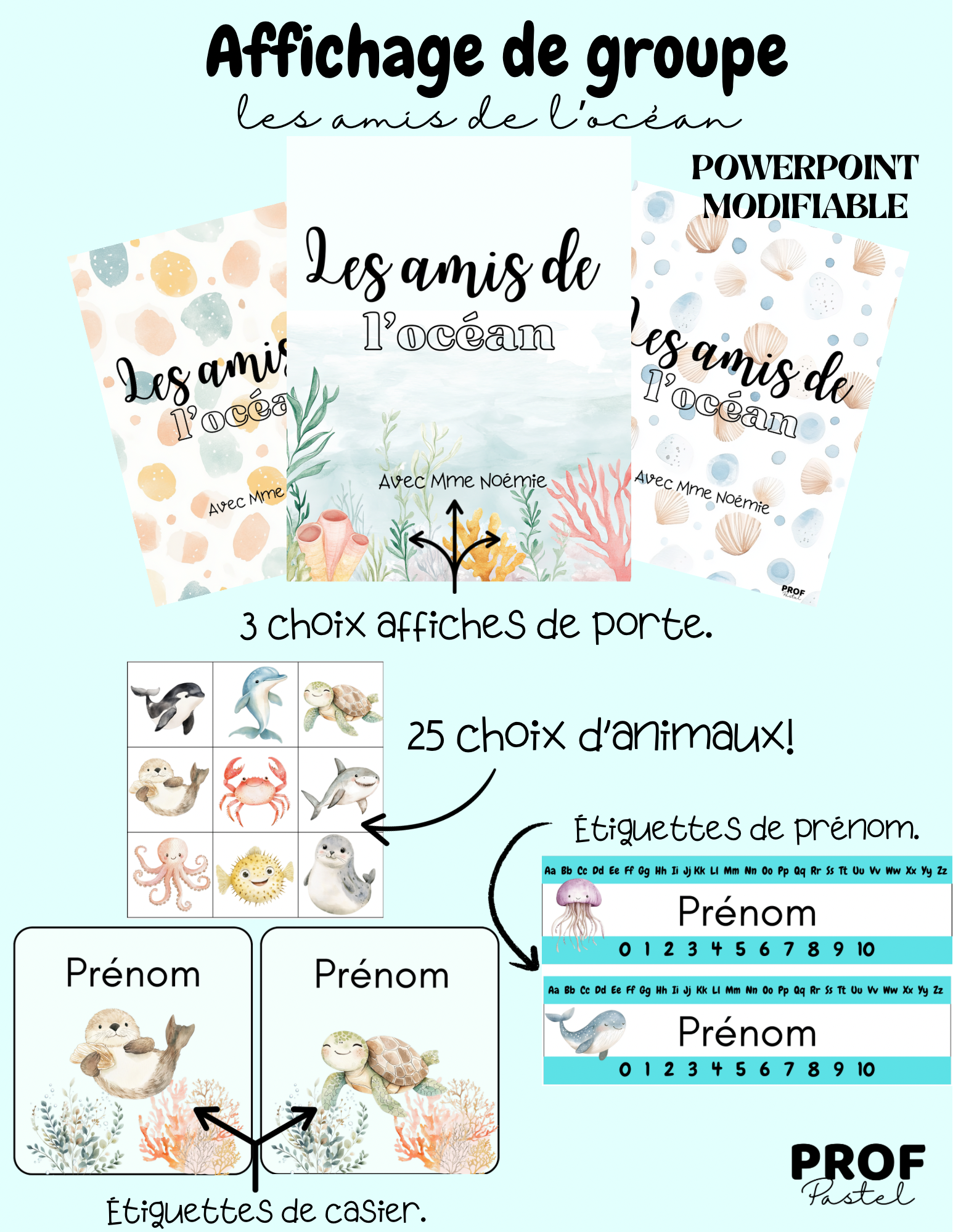 Affichage de groupe « les amis de l’océan »