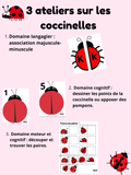 3 ateliers sur les coccinelles