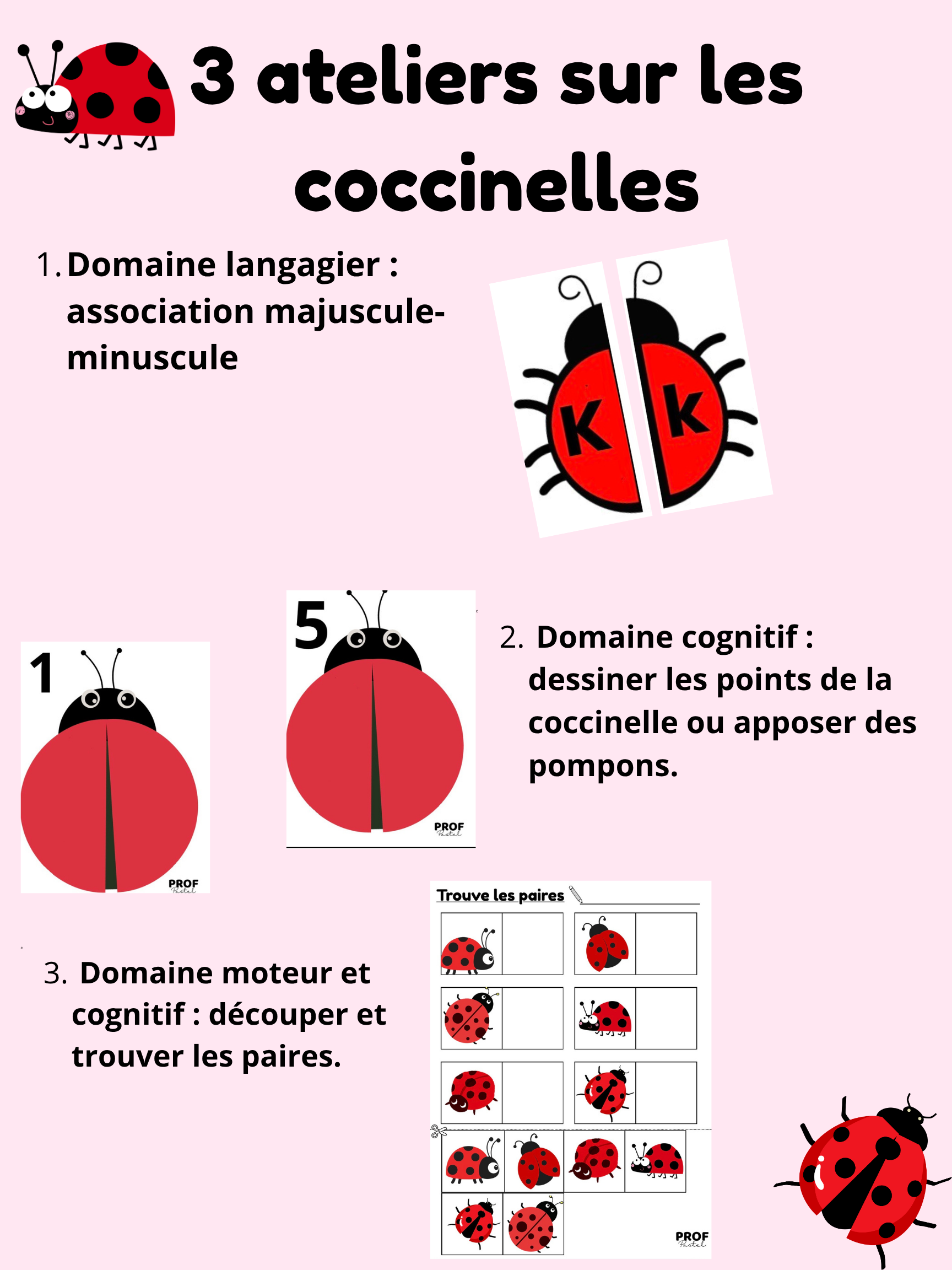 3 ateliers sur les coccinelles