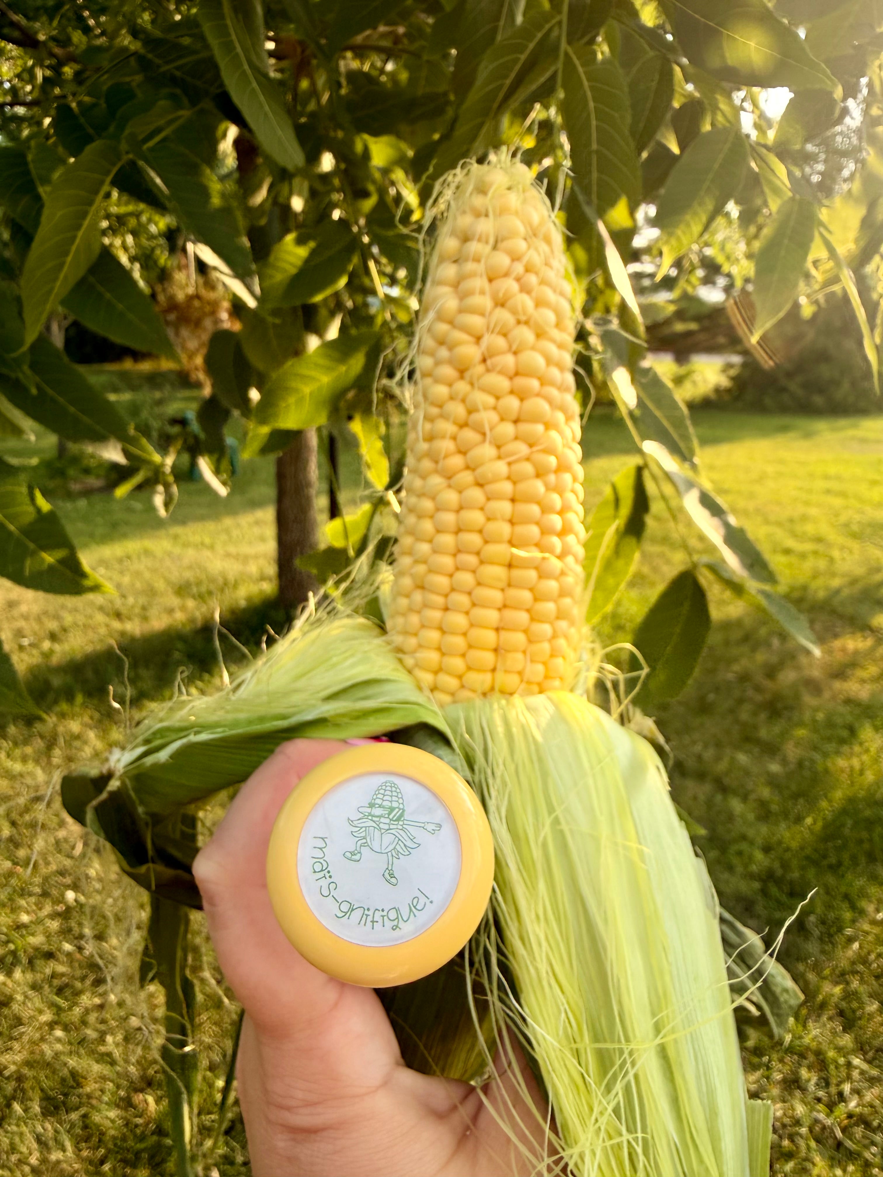 étampe « maïs-gnifique »🌽