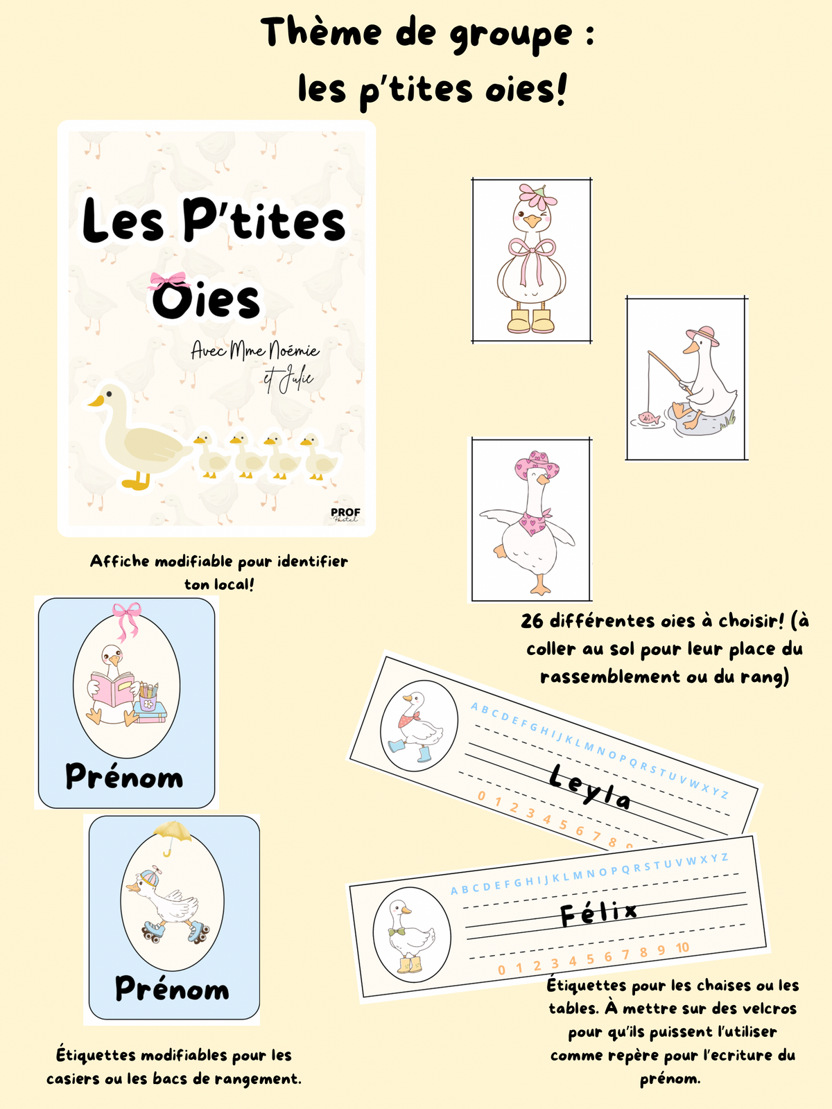 Thématique de groupe « les p’tites oies » 🪿